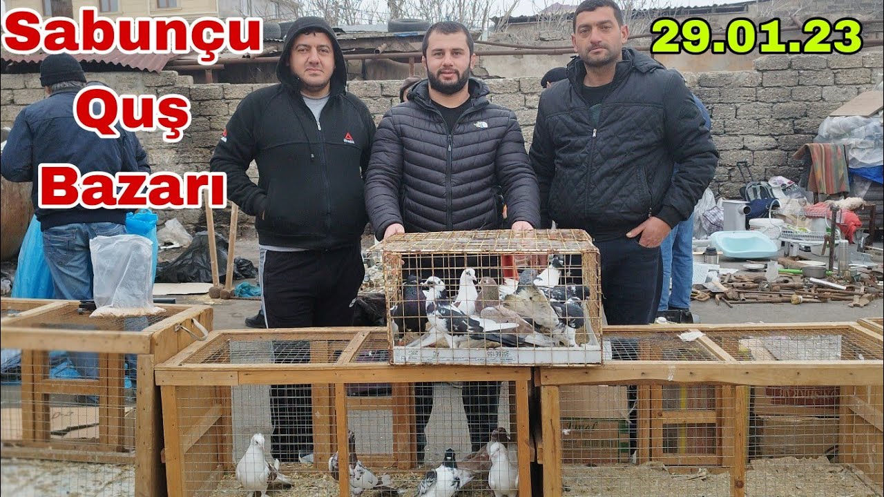 Sabunçu Quş Bazarı 29 Yanvar 2023
