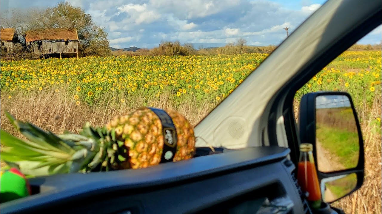 Roadtrip Portugal - die Anreise ist zu Ende