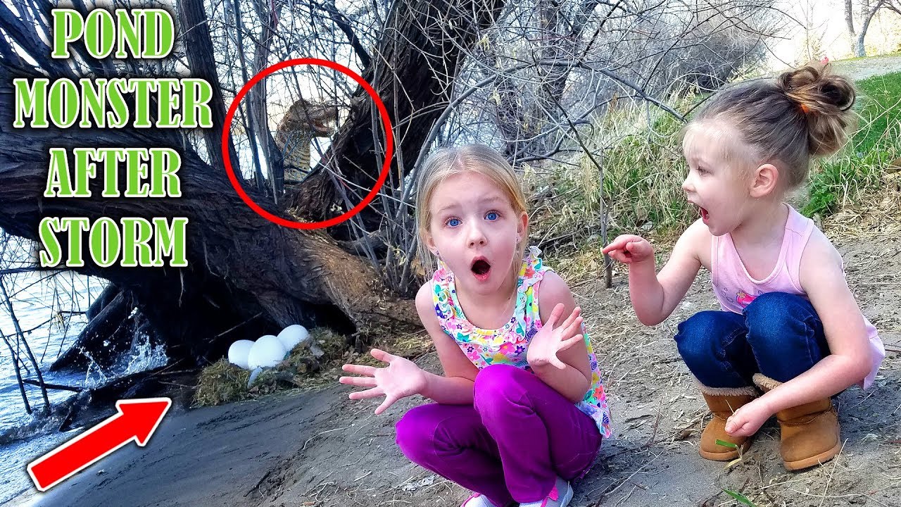 Monster in River!!! HUGE Eggs in Nest Found After Storm! Sharer's Pond Monster???