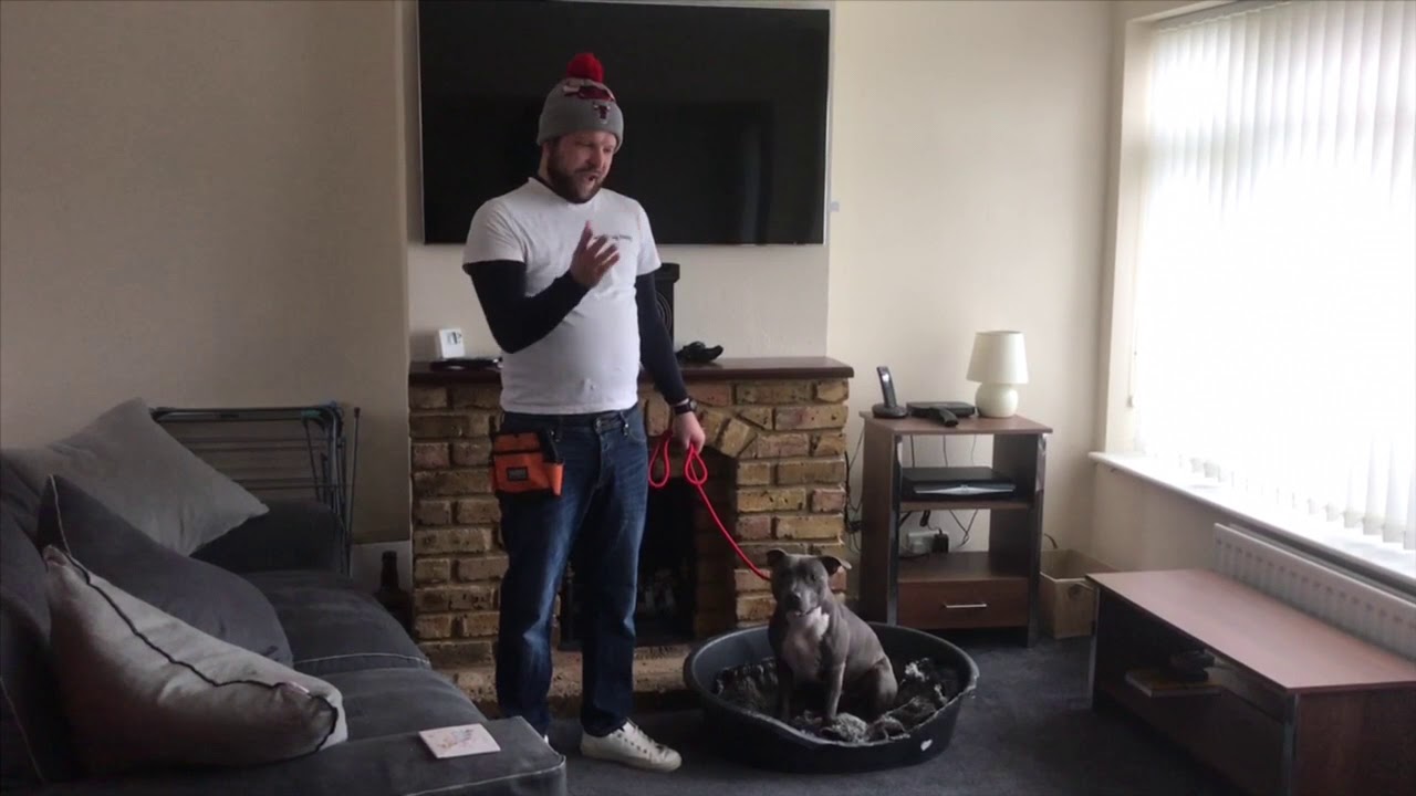 SUPER ASSERTIVE STAFFIE THAT DOES NOT LIKE TO BE TOLD WHAT TO DO.