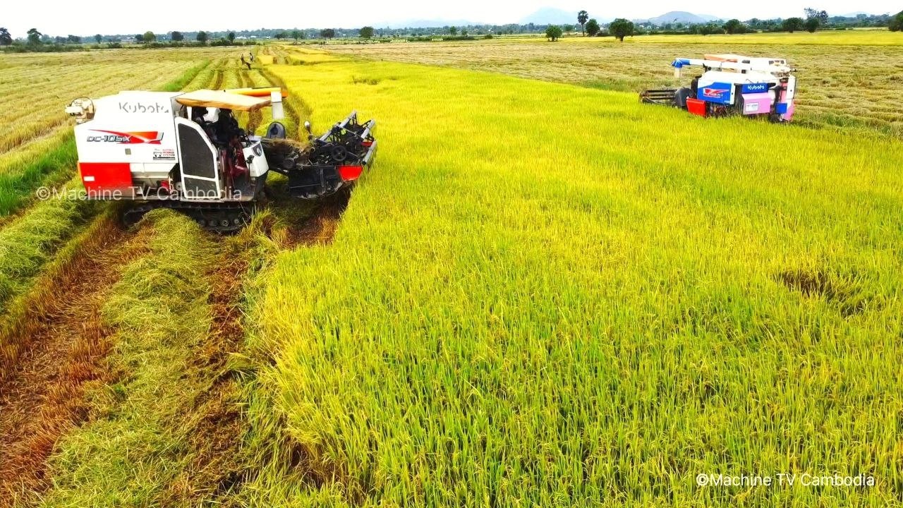 Awesome Action Combine Harvester DC105X Processing Cropping Rice  Rice Cutting Machinery Kubota