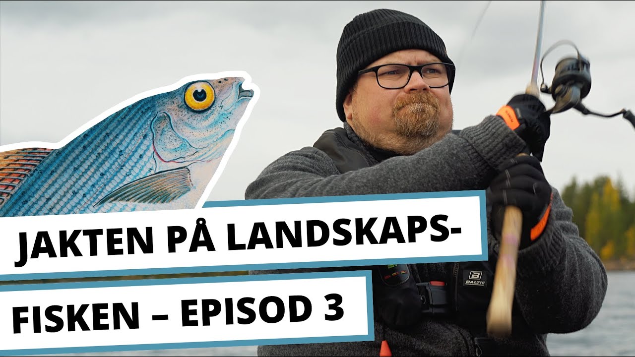 Jakten p&aring; landskapsfisken Episod 3 &ndash; Harrfiske i H&auml;rjedalen (2021)
