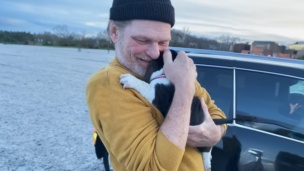 Puppy surprise is the moment we all need to see ❤️❤️