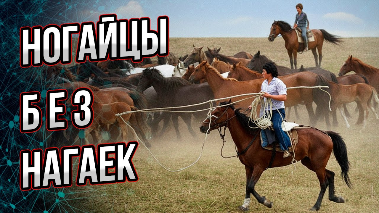 Как появились и куда исчезли ногайцы? А ведь Ногайская орда была огромна…
