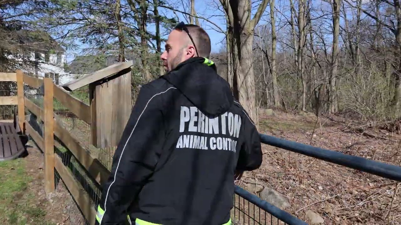 Spring Wildlife & Pet Safety Tips with Animal Control Officer Steve Pringle