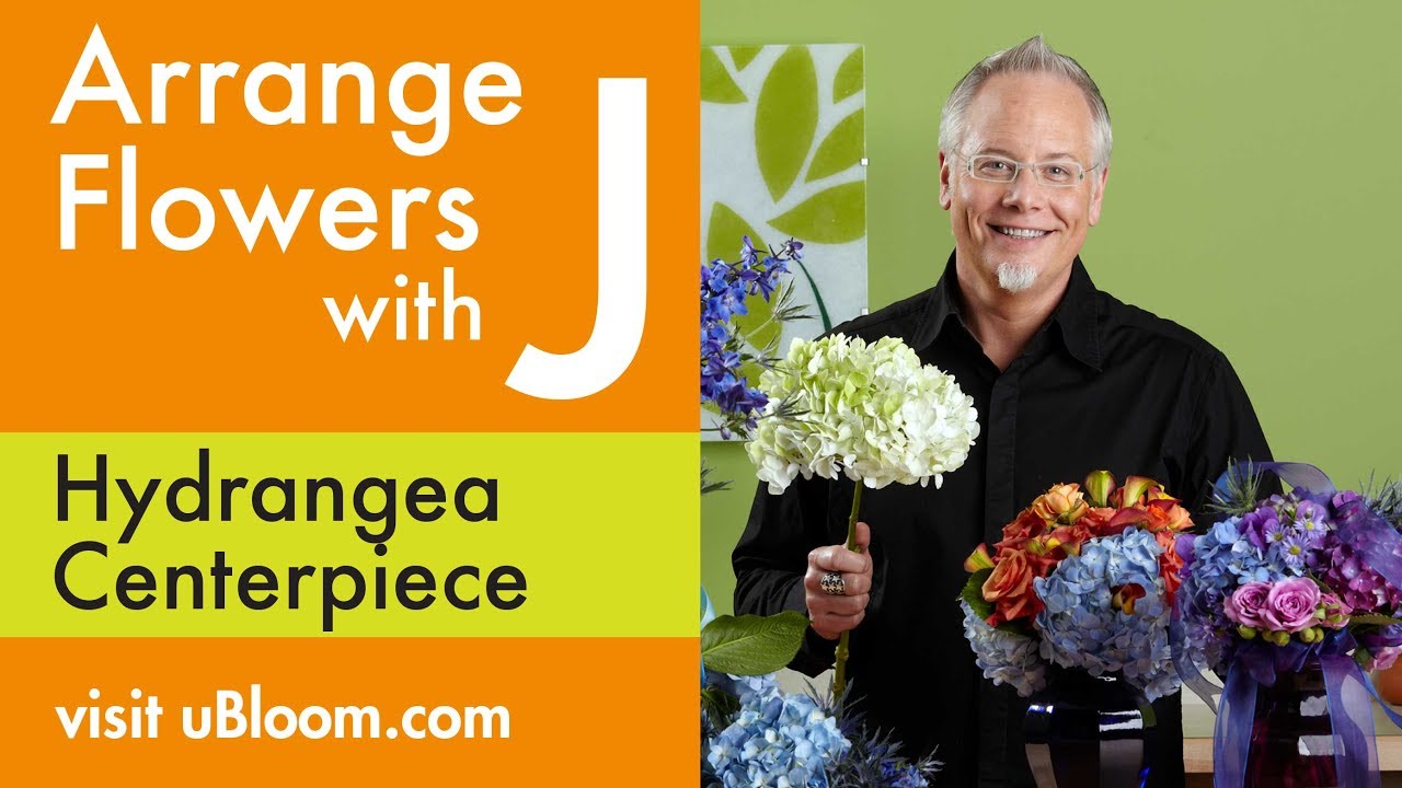 How to Arrange Flowers- Create a Hydrangea Arrangement!