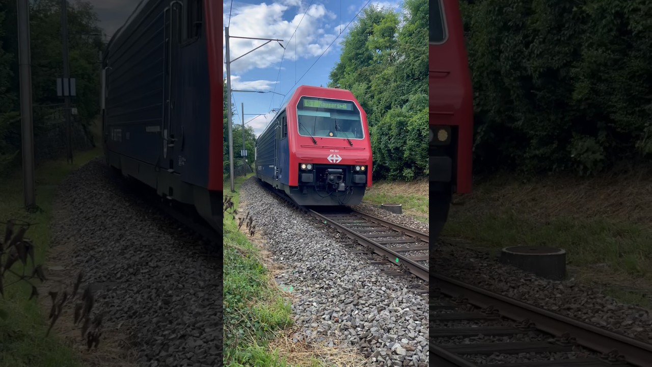 Commuter train in Zürich Switzerland Re 450 91 85 4 450 031-0