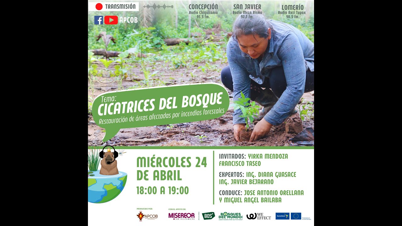 El bosque te cuenta