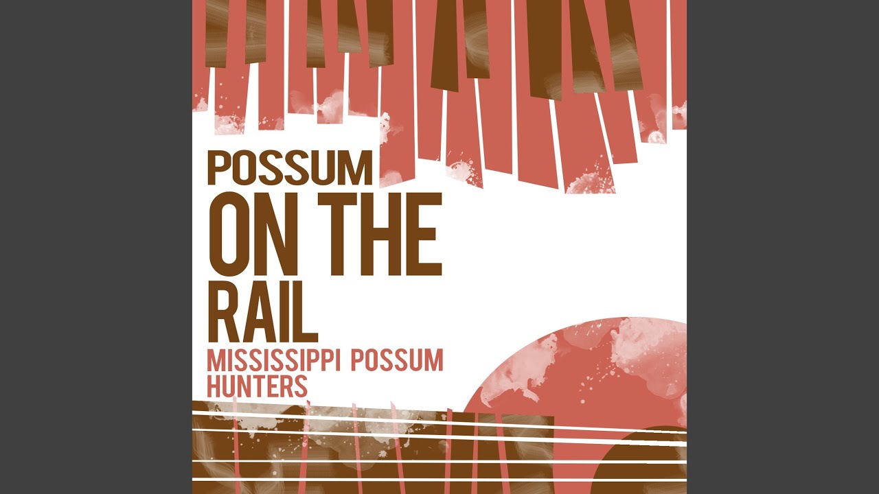 Possum on the Rail