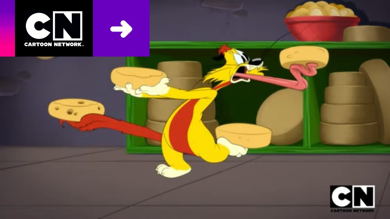 CULPA DEL FELINO | LOONEY TUNES CARTOONS | CARTOON NETWORK