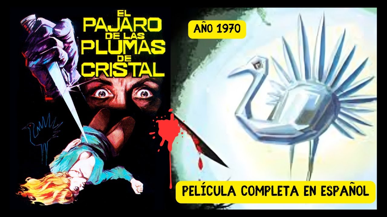 PEL&Iacute;CULA 