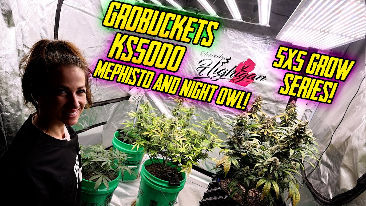Grobuckets With Autos, KS500, Auto Clone add Recharge!