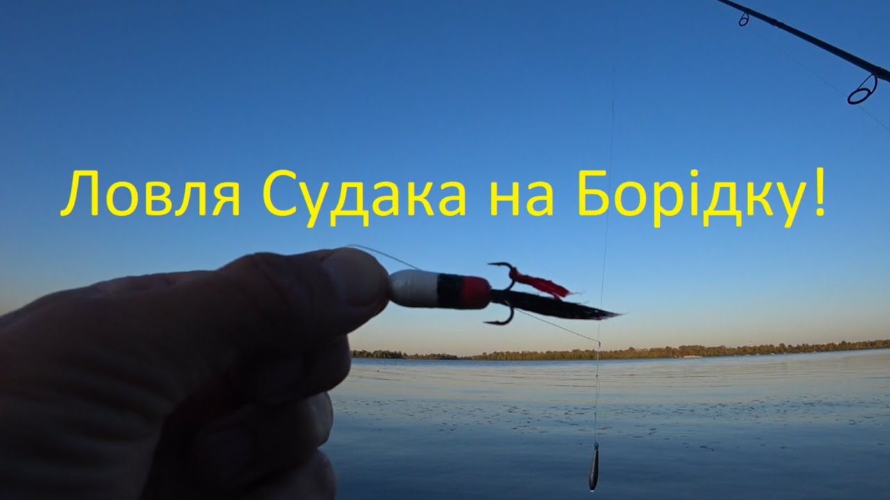 Судаки на Борідку! Вечірні виїзди на Дніпро! Ловля Судака на Борідку Восени! Рибалка Київ 2025.