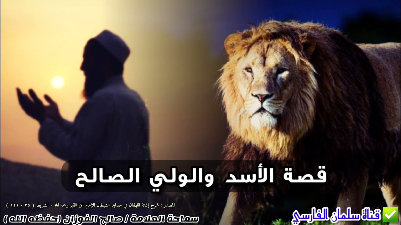 قصة الأسد والولي الصالح !! | للعلامة صالح الفوزان