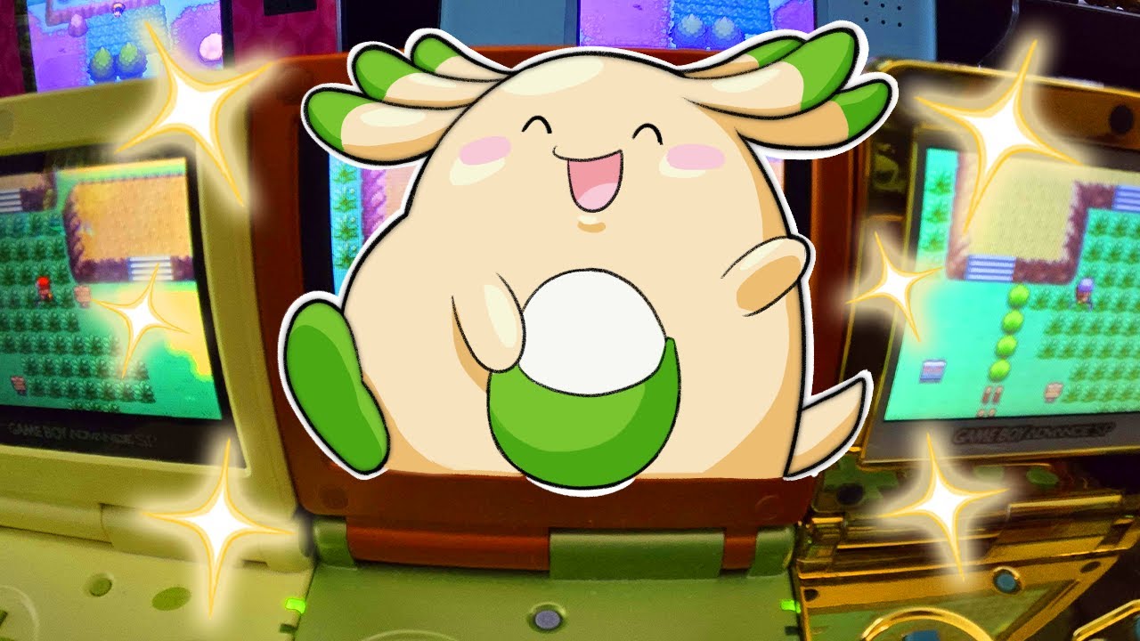 709 - Finding THE Shiny Chansey in the Safari Zone!!! Safari Week 2025