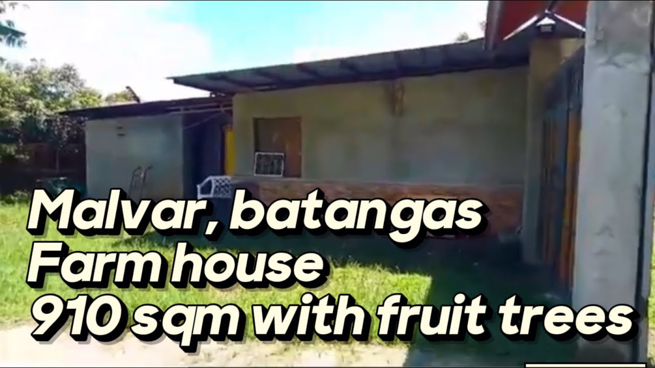 V588-24 Malvar batangas Farm house and lot 910 sqm fully fenced with fruit bearing trees