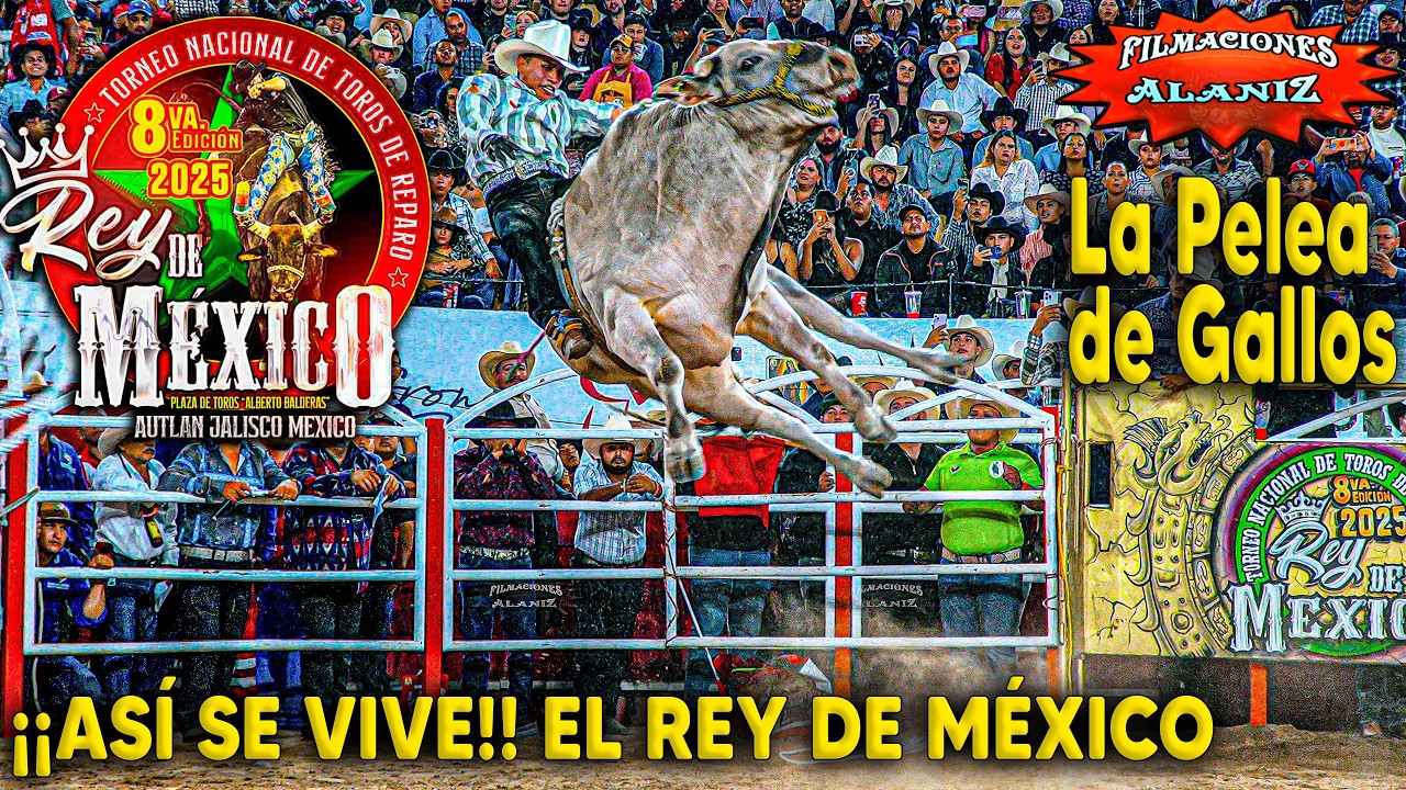 ¡¡ASÍ SE VIVE!! EL REY DE MÉXICO EL MEJOR TORNEO DE TOROS DE REPARO DONDE EL PÚBLICO CALIFICA ESTO E