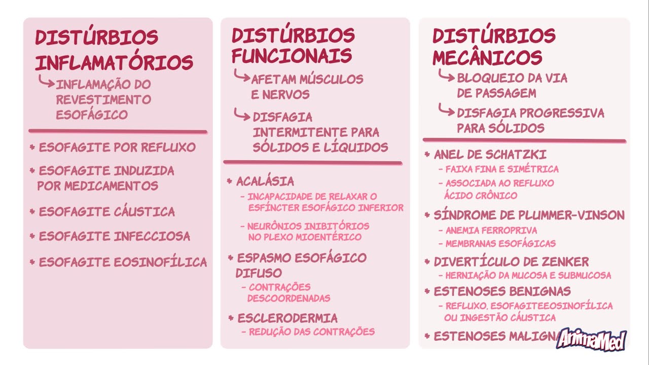 Distúrbios Esofágicos: Esofagite, Acalásia, Disfagia e Estenoses | AnimaMED Ciclo Clínico