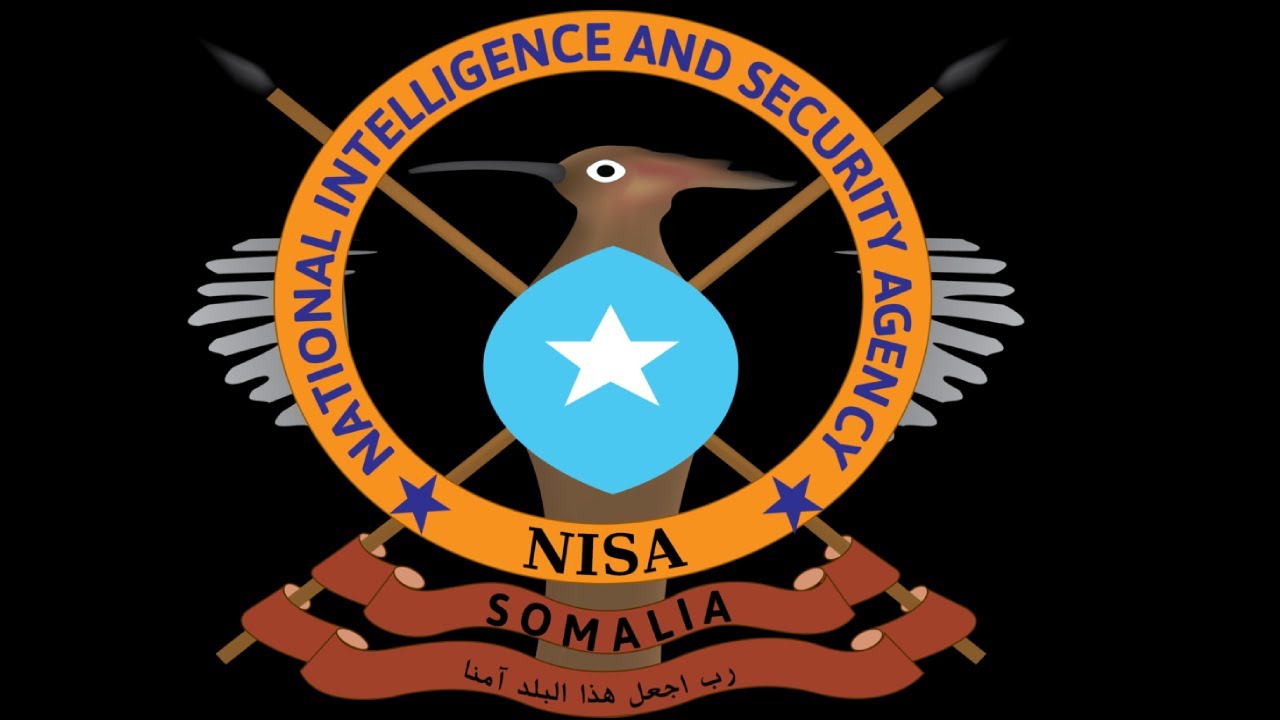 Guusha Sirdoonka Somalia, Shabakadda Dhalinyarada Dhoofisa ee la qabtay & Gabadha sida xun