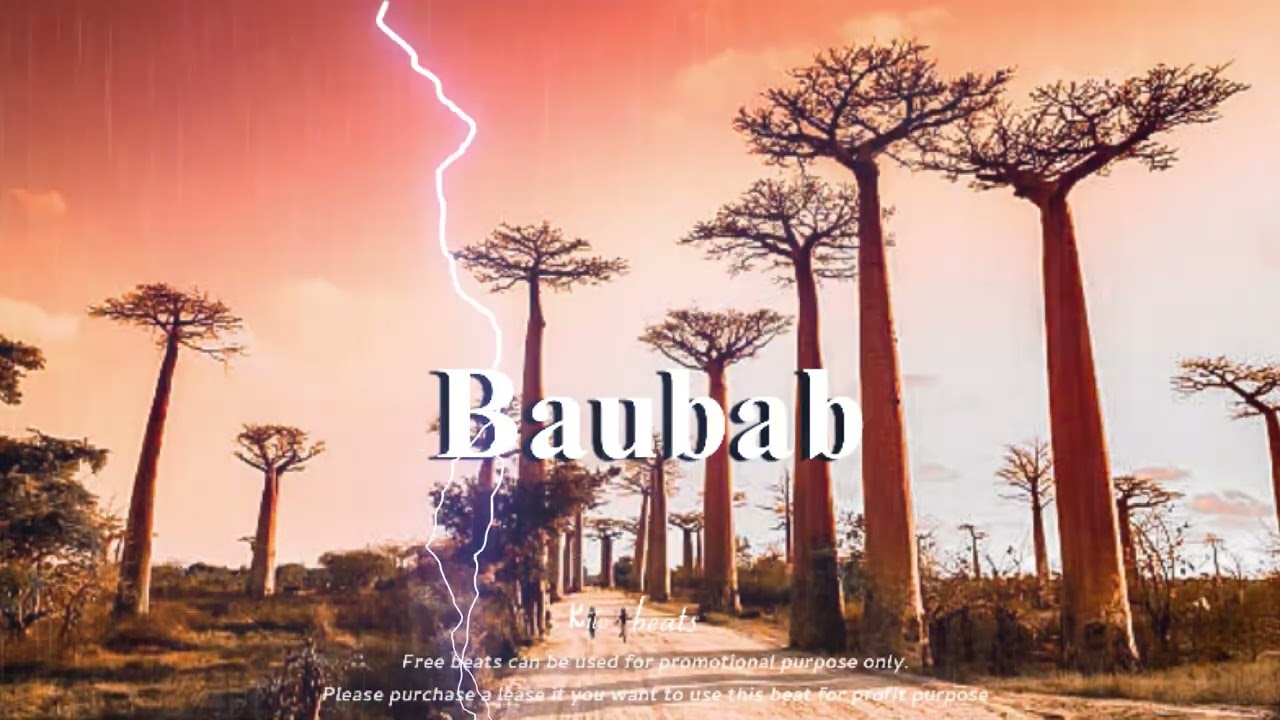 (FREE) Afrobeat Instrumental 2026 Baubab 