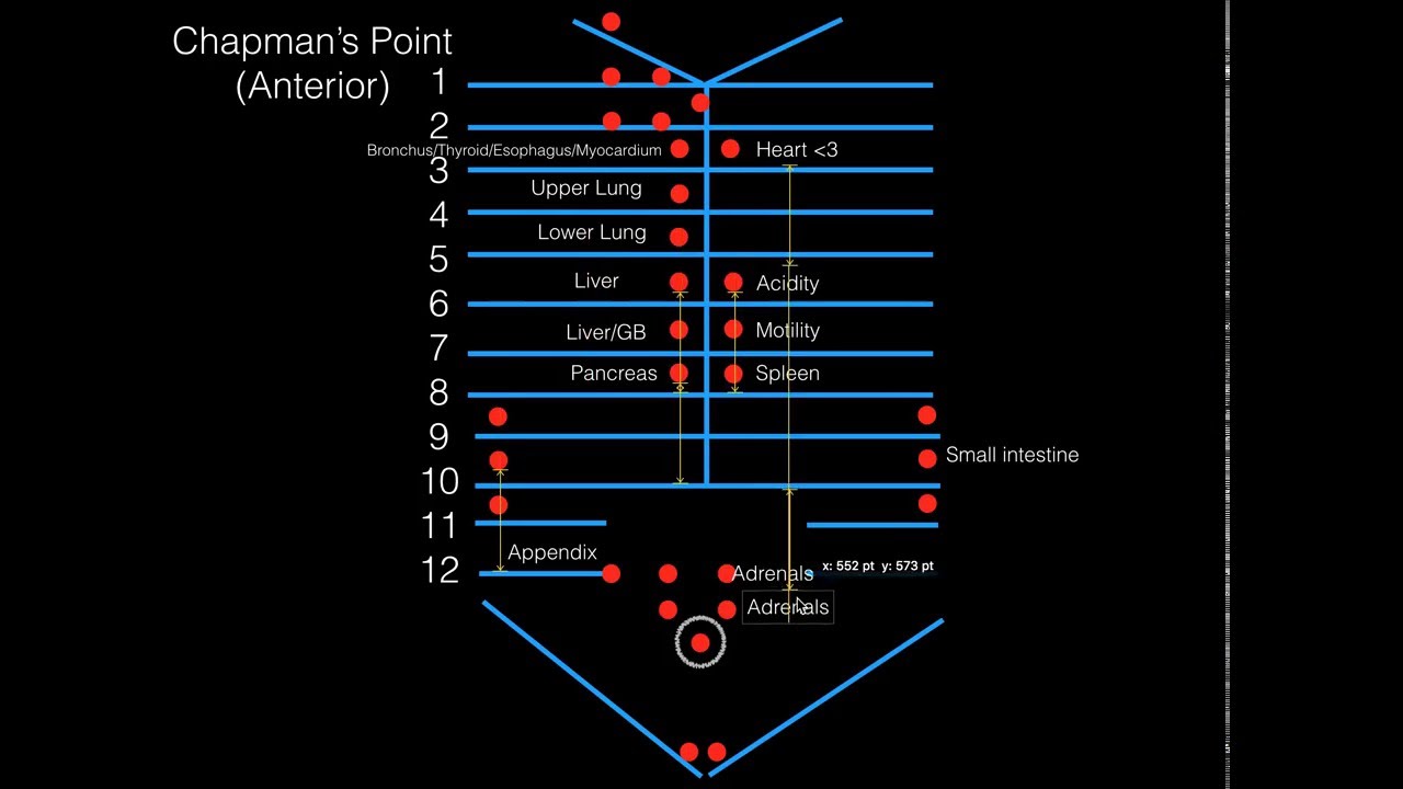 Chapman's Points (Anterior) For COMLEX Level I