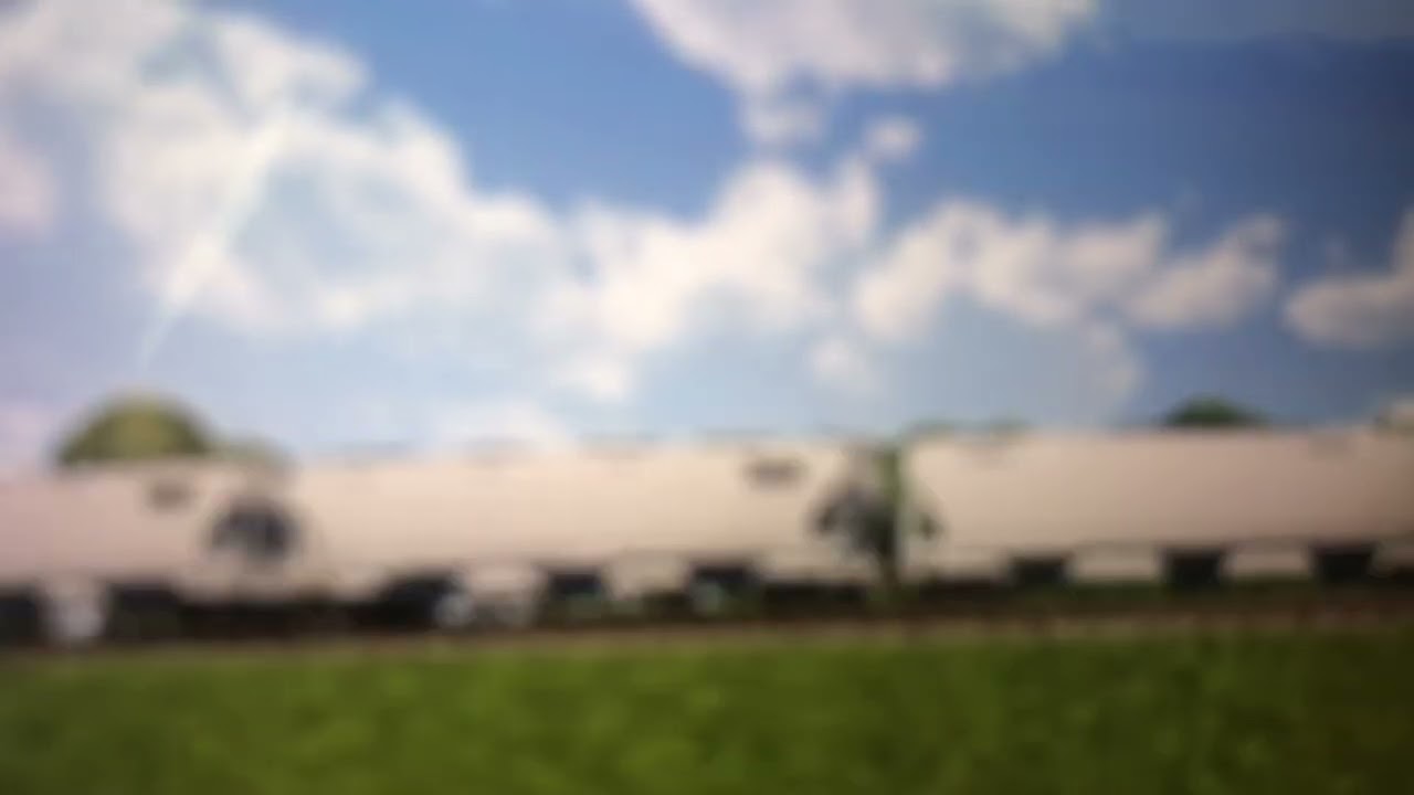 CN #3008 Heritage unit Grain train