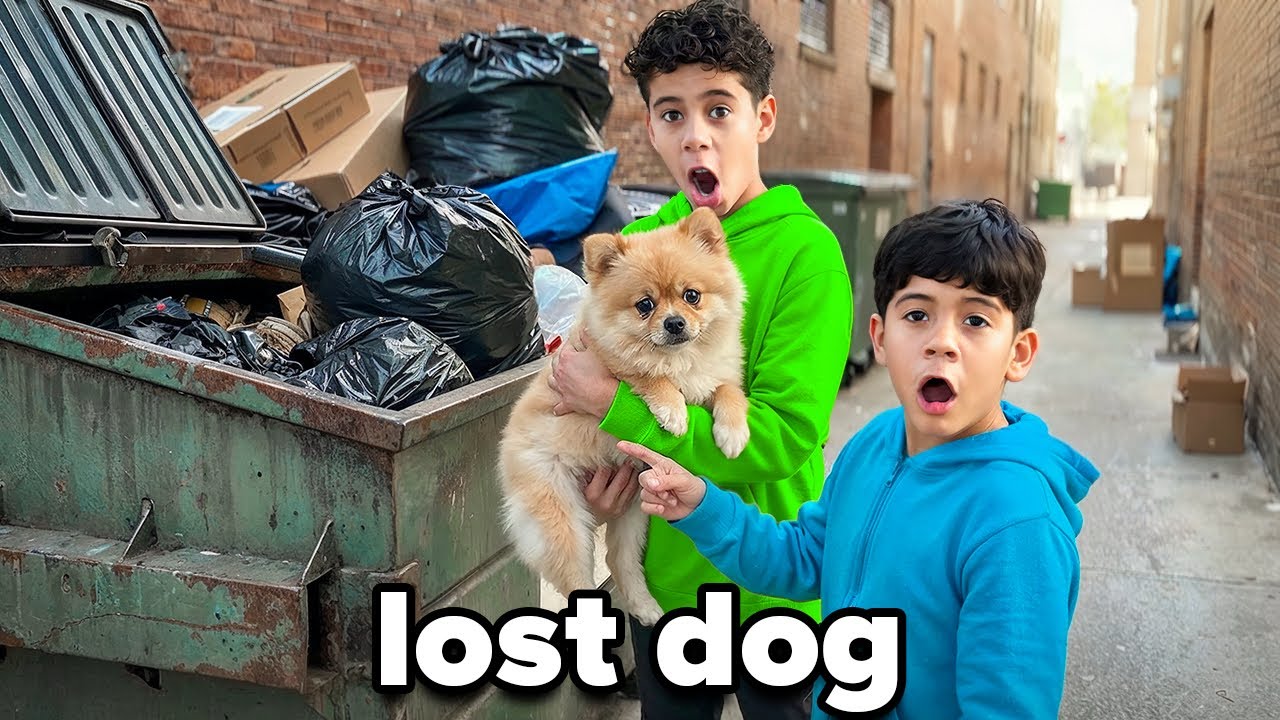 We Found A Lost Dog!