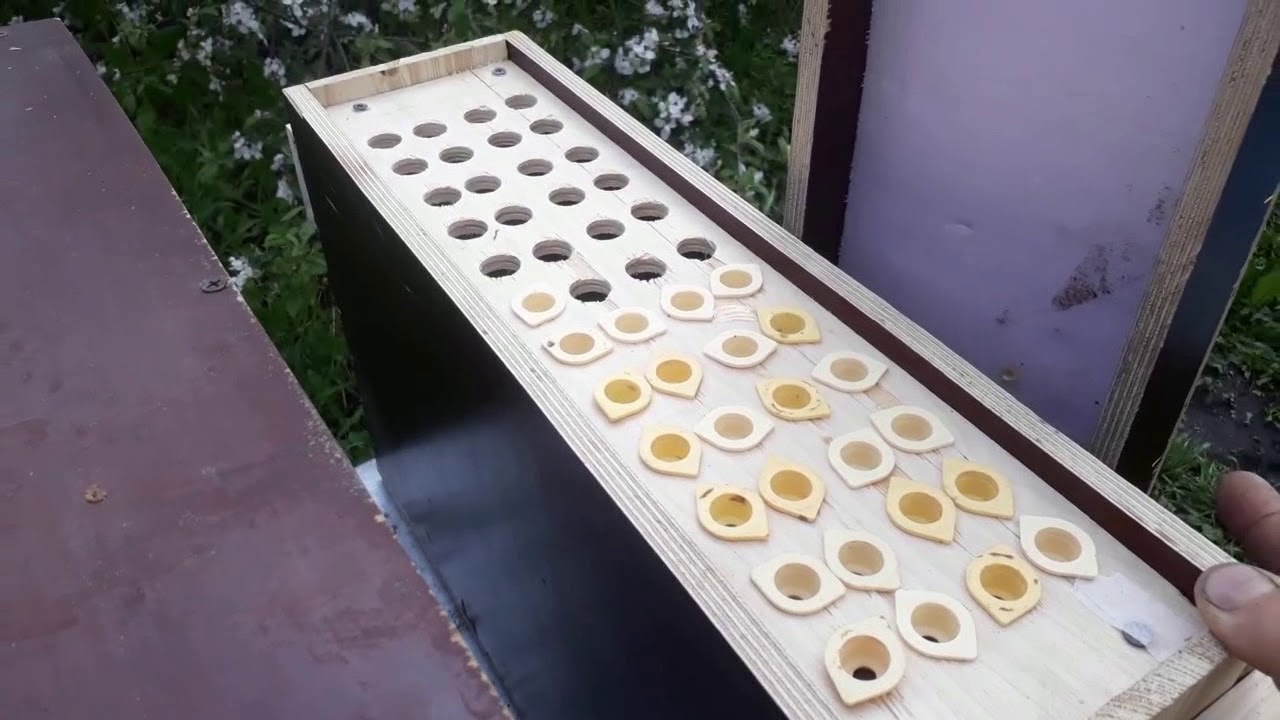 прививочный ящик