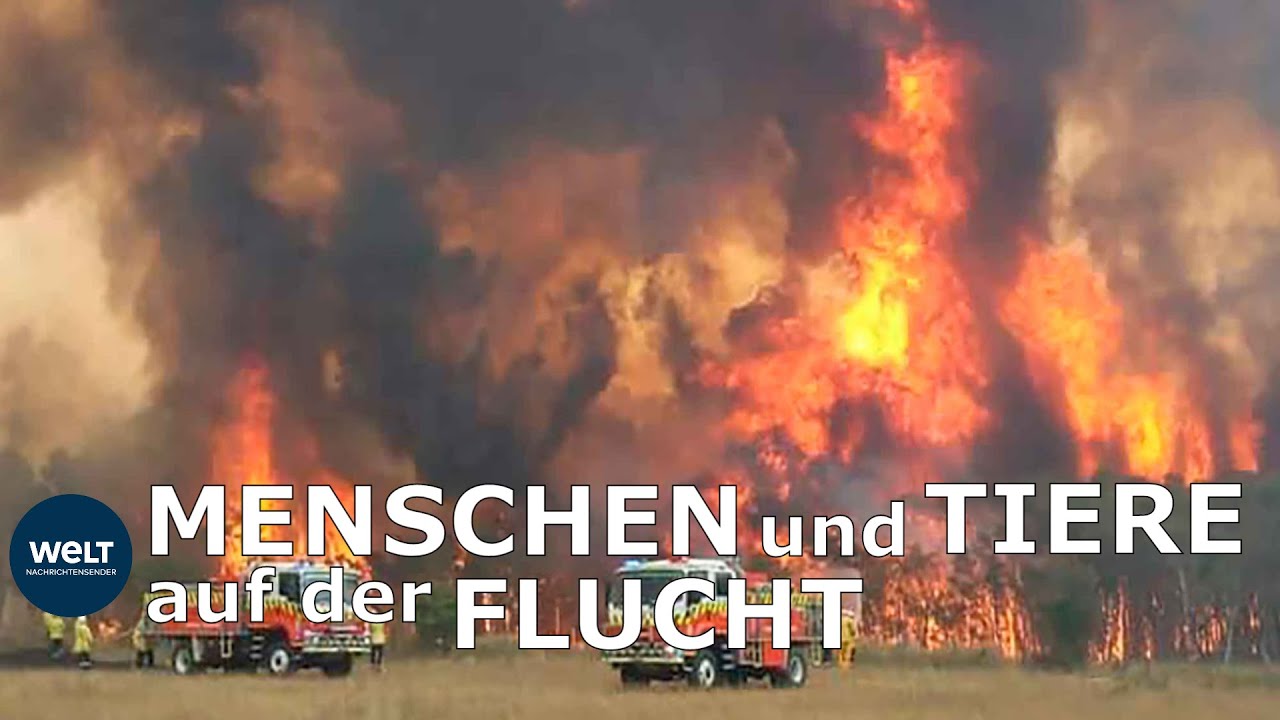 GIGANTISCHE BUSCHBR&Auml;NDE: Feuersbrunst in Australien ausser Kontrolle