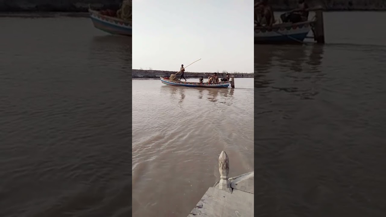 Fish hunt on Chenab river#love #nature #shortsvideo