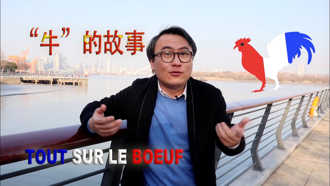 中法字幕 - Tout sur le 