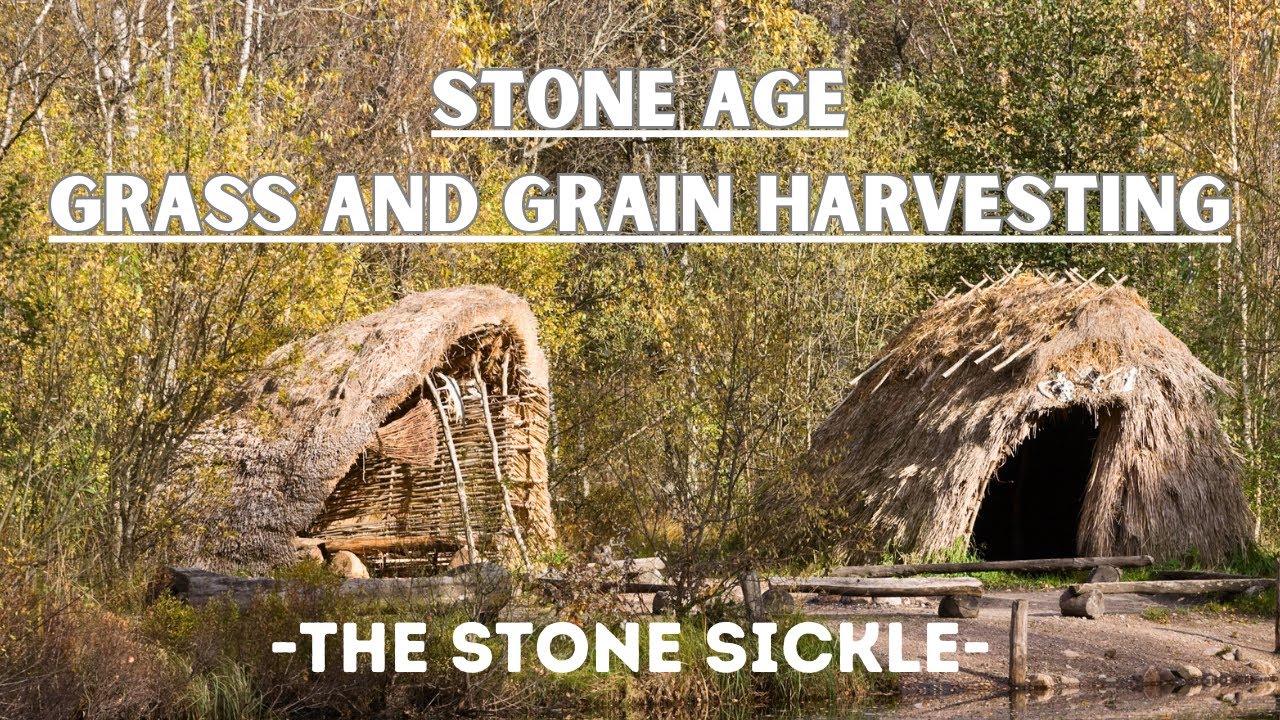 Stone Sickle - The First Grain and Grass Harvesting Tool #survival #bushcraft #primitivetechnology