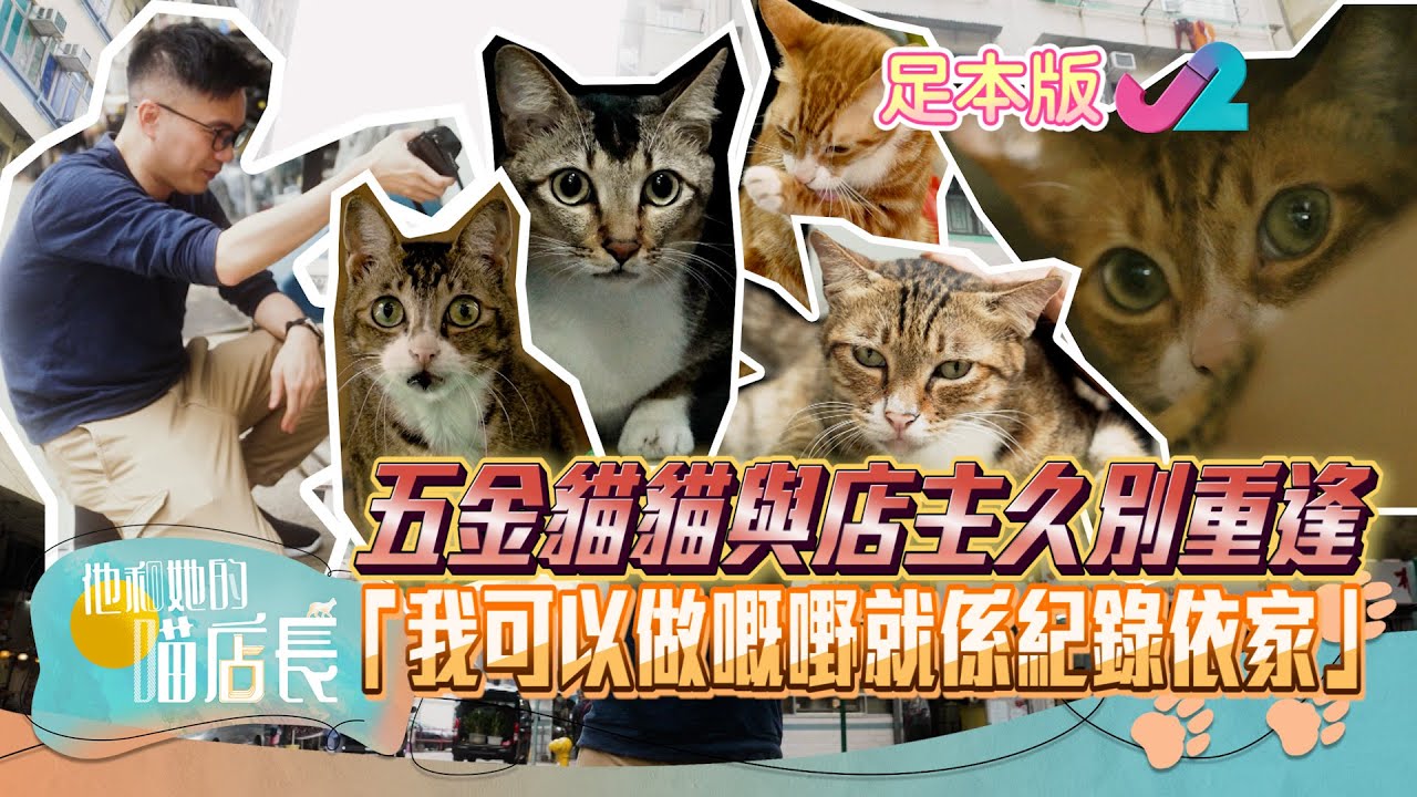 【足本睇】他和她的喵店長 第10集– 睇吓「貓街攝」鏡頭下 又百厭又可愛嘅貓店長sss | J2