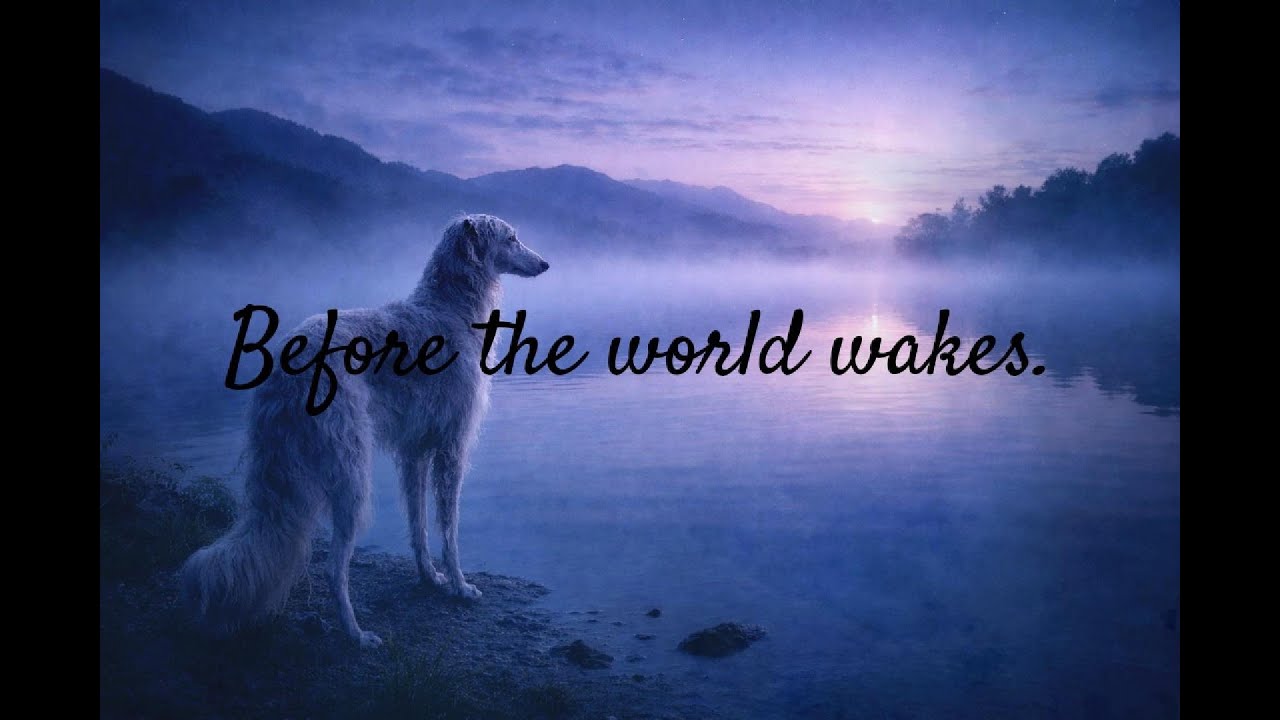 【1 HOUR】Before the world wakes. 🐾 夜明けの静寂BGM。集中・読書・リラックス。