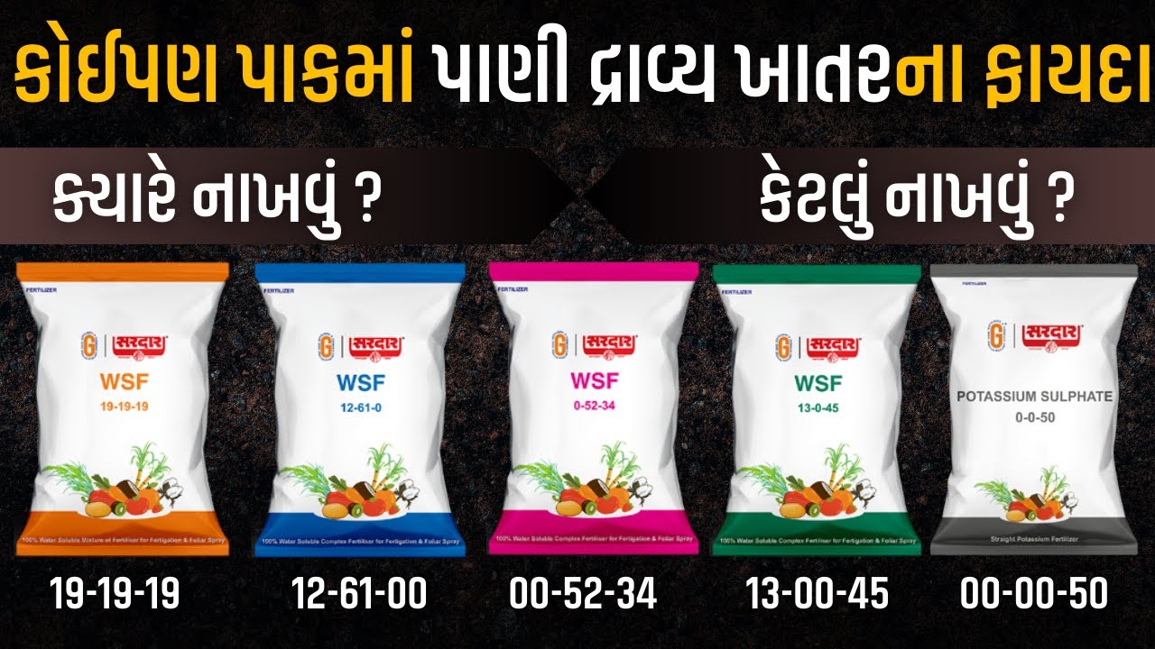 પાણી દ્રાવ્ય ખાતરના ફાયદા |NPK 19:19:19|12:61:00|00:52:34|00:00:50|13:00:45 @KhedutPathshala