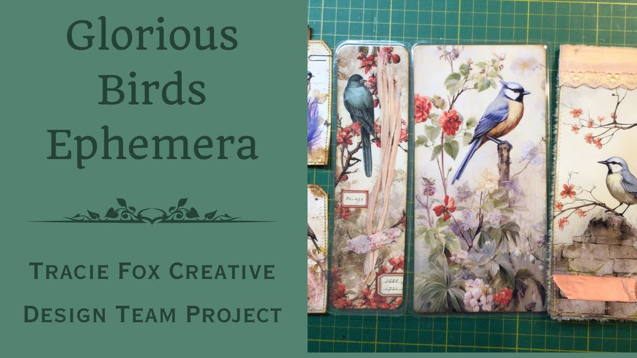 Making Glorious Birds Ephemera - Tracie Fox CDT Project