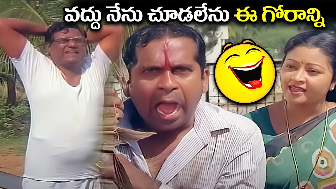 వద్దు నేను చూడలేను ఈ గోరాన్ని Brahmanandam And Kota Srinivasa Rao Comedy Scene