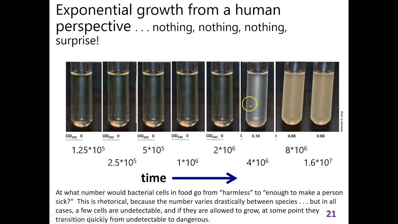 Lecture 2 part 4: turbidity (reedited)