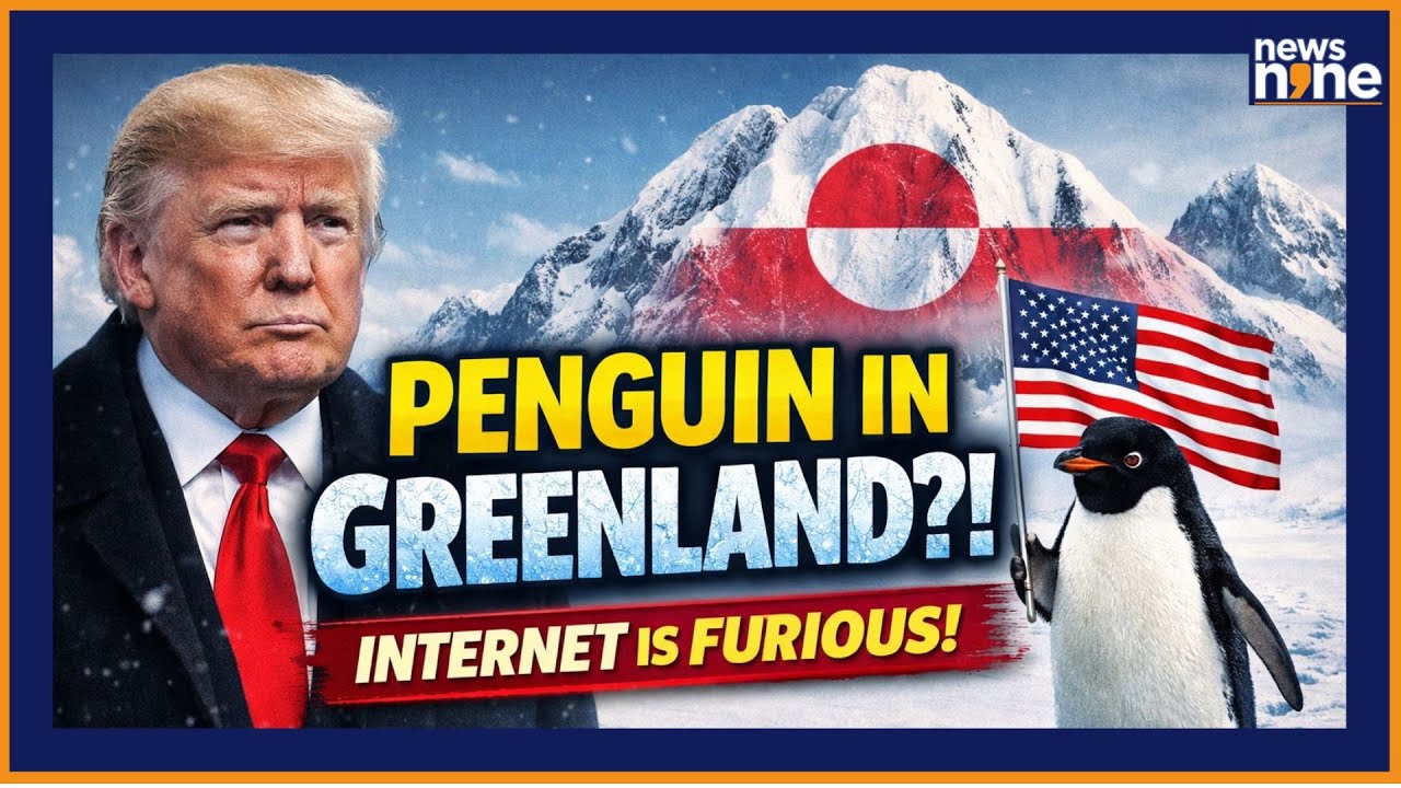 Trump’s Penguin Meme On Greenland Sparks Global Trolls | White House AI Post Explained