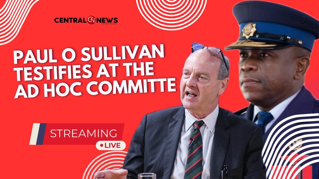Paul O'sullivan testifies at the Ad Hoc Committee