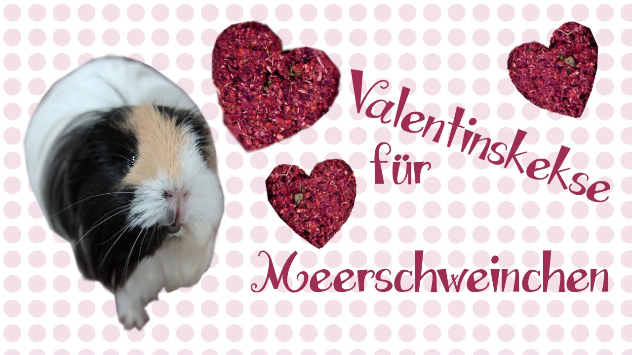 Die weltbesten Meerschweinchenleckerli...