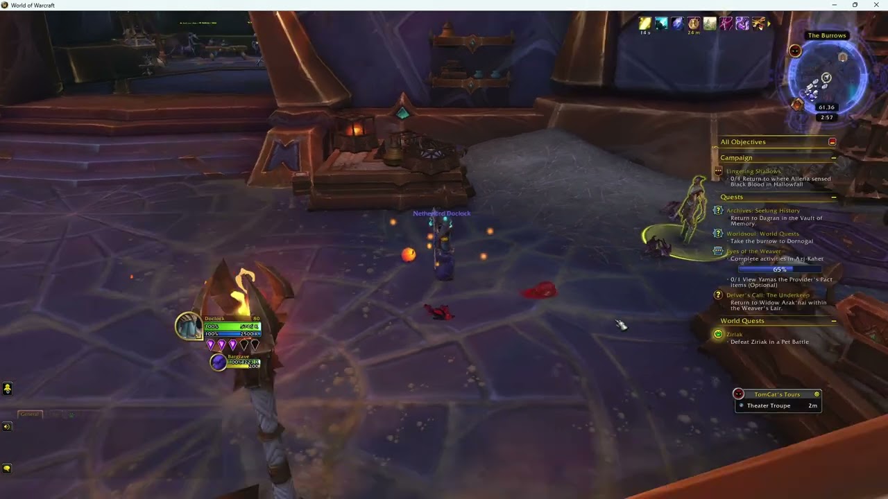 WoW Pet Battles:  Azj-Kahet's Zirak- Magic Family