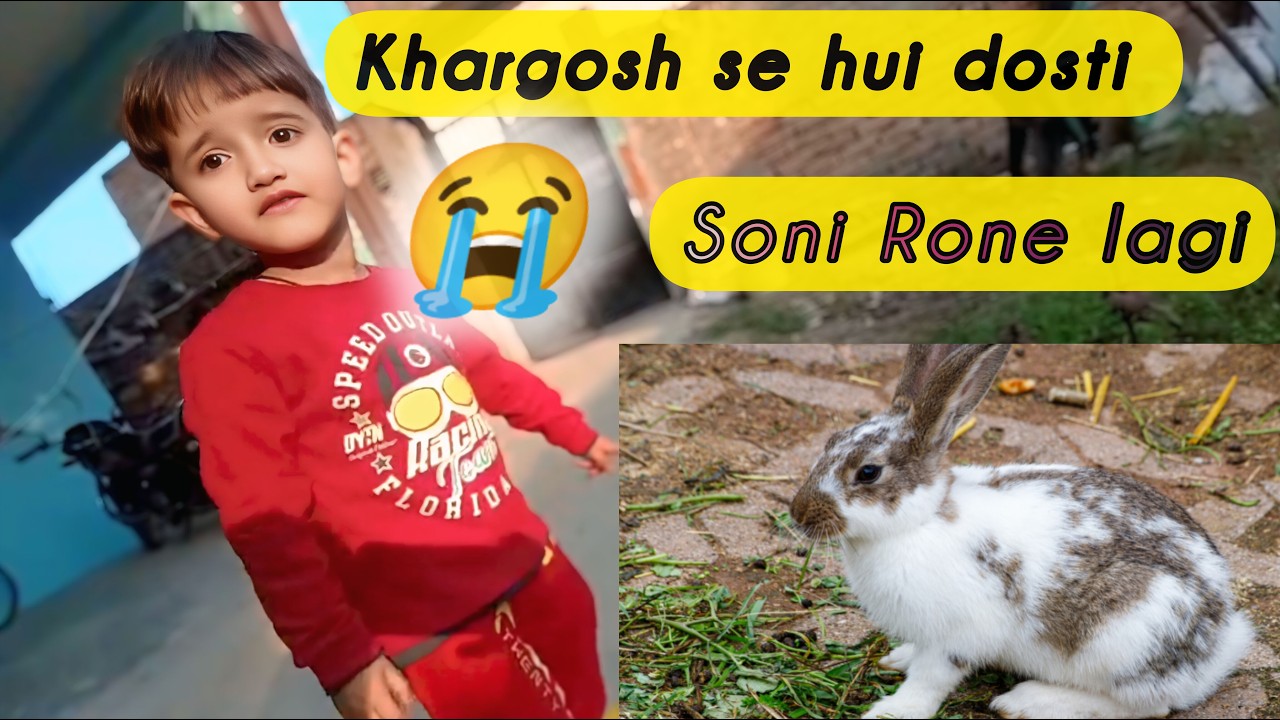 Khargosh Se Hui Dosti Soni Lagi Rone 😭 | Nazo Ka Nazariya vlogs | #dailyvlog 