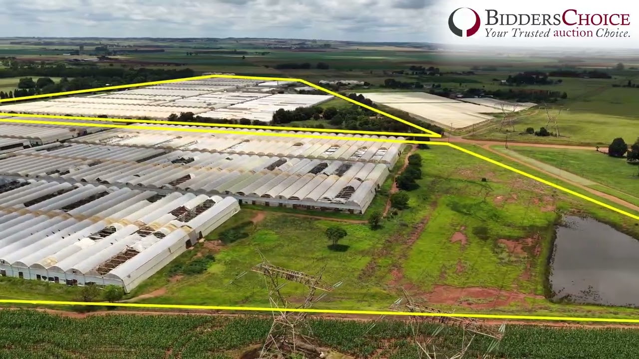 Large Scale Flower & Greenhouse Farm, Krugersdorp, Gauteng - Liquidation Online Auction