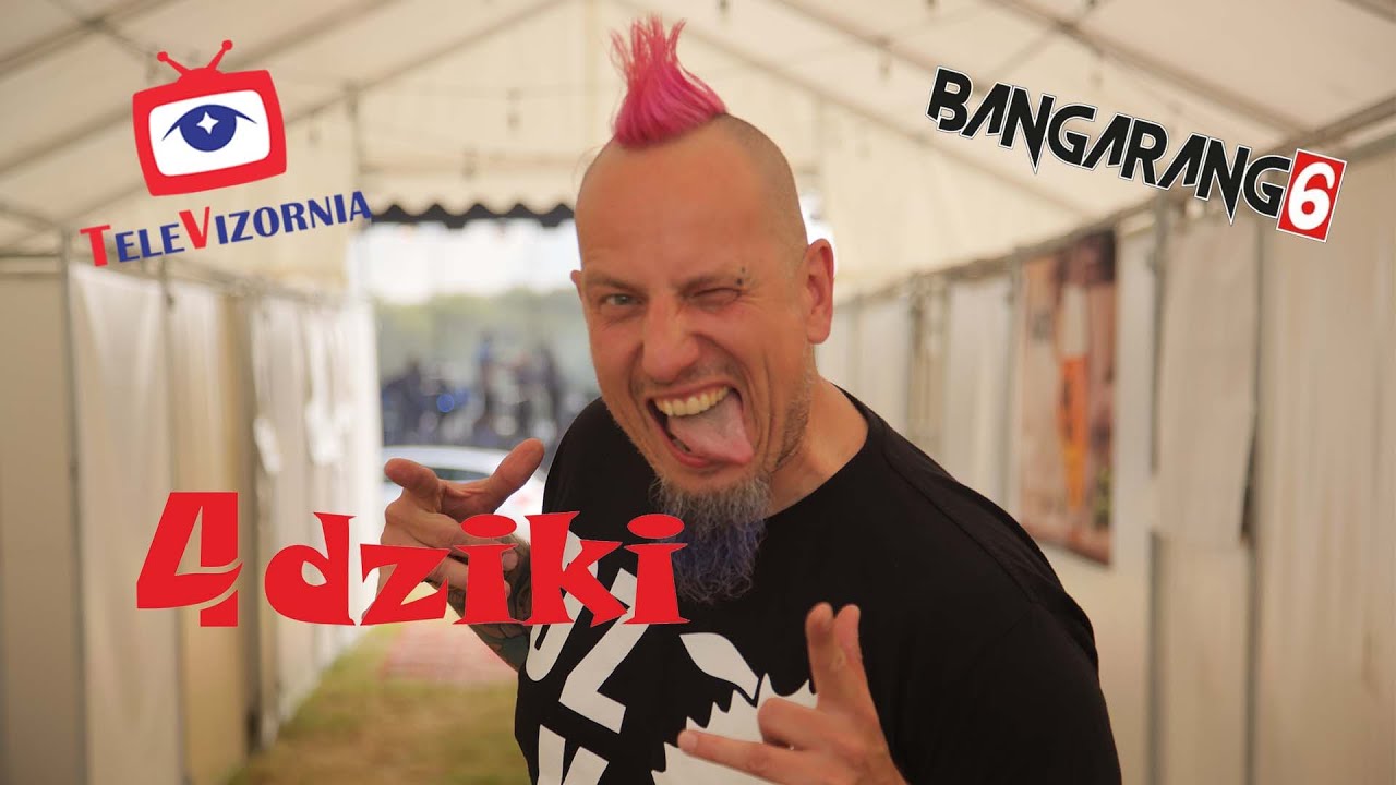 #4DZIKI Bangarang Festival: Dziki Majk @Televizornia
