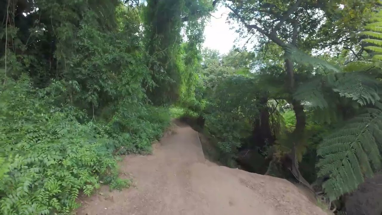 POV walk at Silverhurst Trail | Cape Town