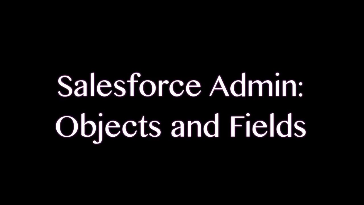 Salesforce Admin - Objects and Fields