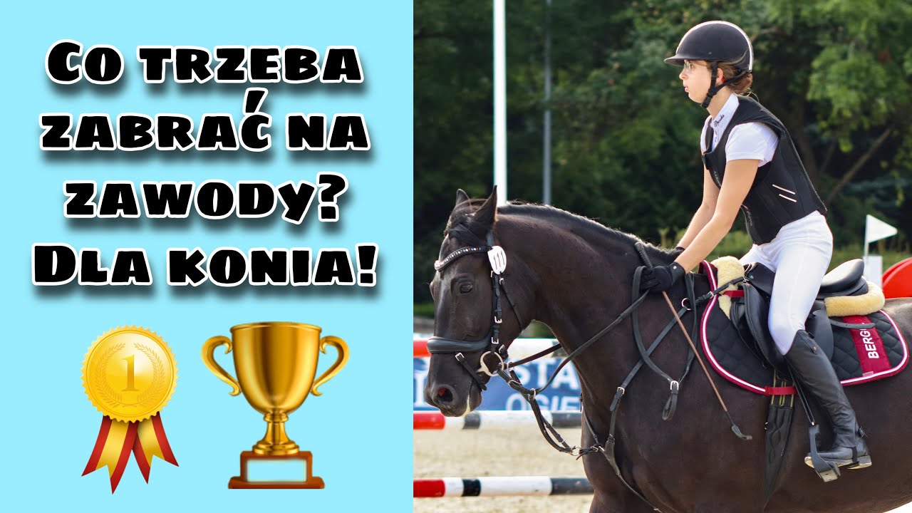 Moje pierwsze zawody jeździeckie - co muszę spakować dla konia?