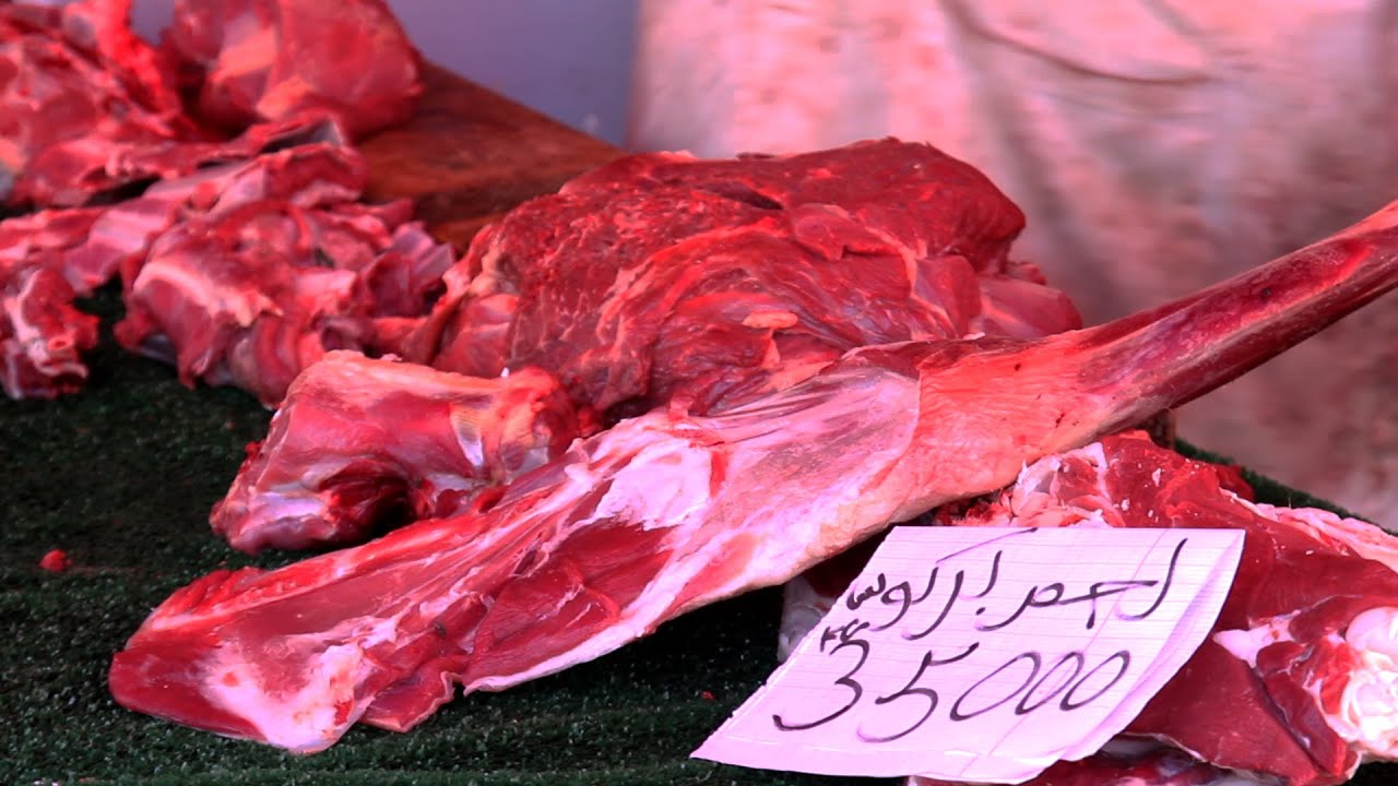 بسبب غلاء أسعار الأضاحي إقبال كبير على اللحوم الحمراء في سوق باب الفلة 🥩​ 🇹🇳