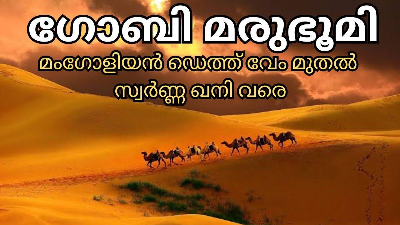 ദിനോസോർ ഫോസിലുകളുടെ റിസർവോയർ | Gobi desert| Malayalam explanation
